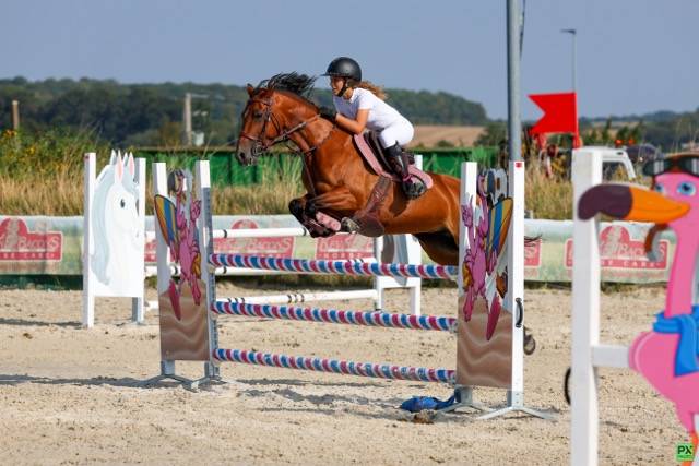 Ponette D de 7 ans – Chic, volontaire & inarrêtable 