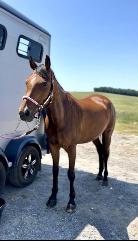 Ponette D de 7 ans – Chic, volontaire & inarrêtable 