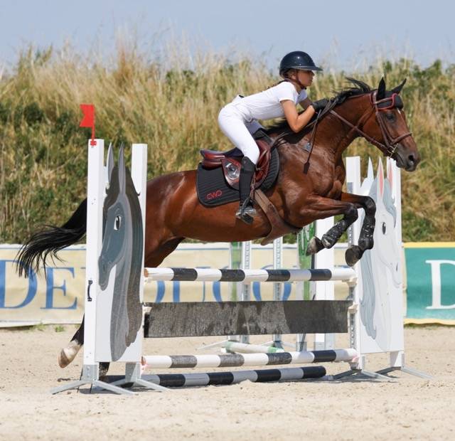 Jument SF 8ans idéale passage poney/cheval