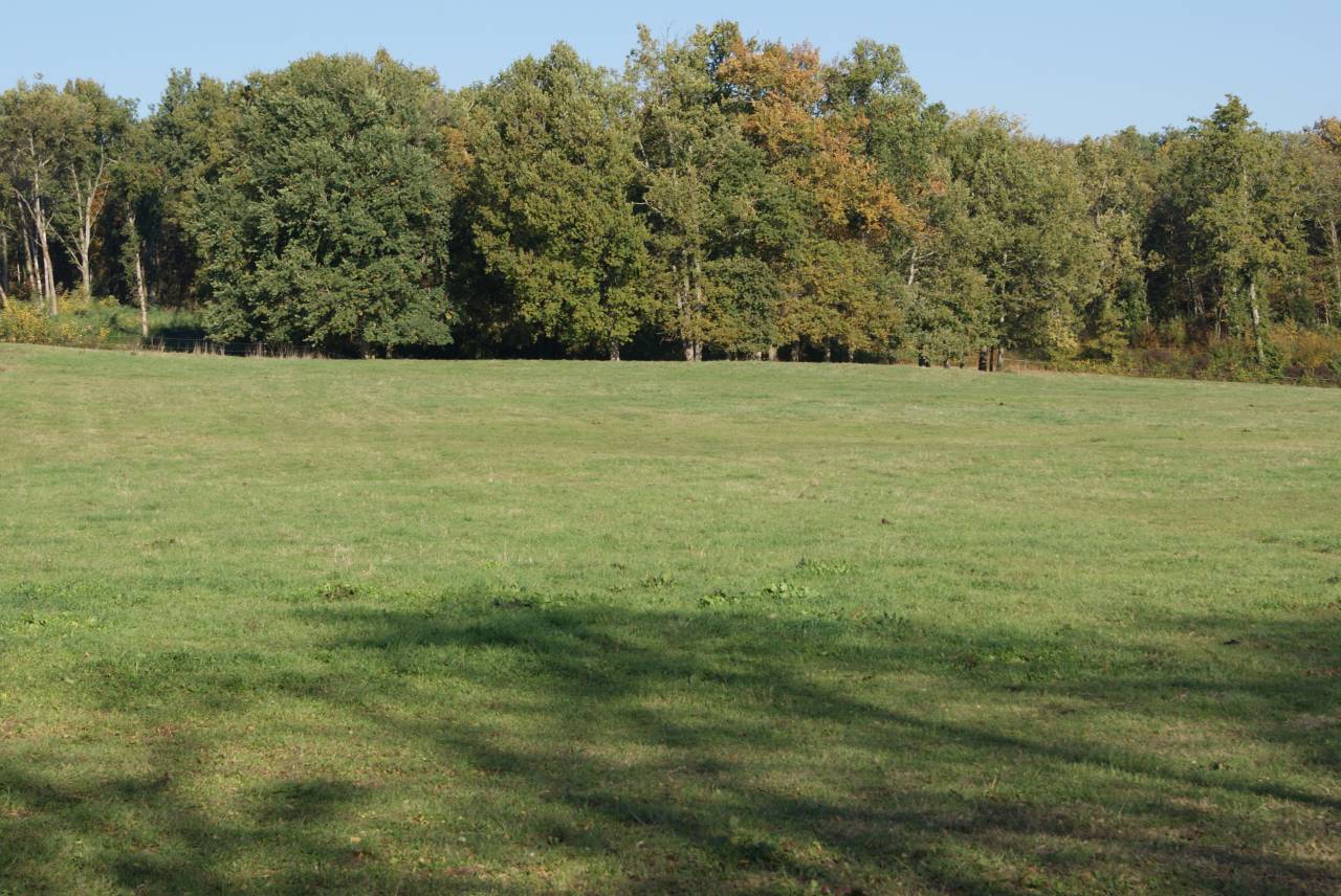 Pensions pour chevaux 