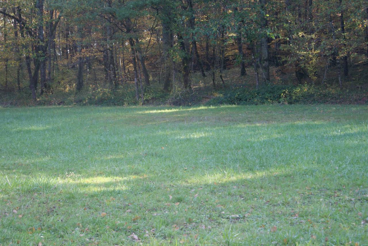 Pensions pour chevaux 