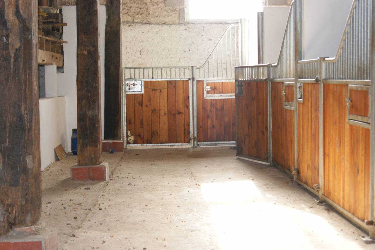 Pensions pour chevaux 