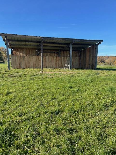 Pensions pour chevaux 