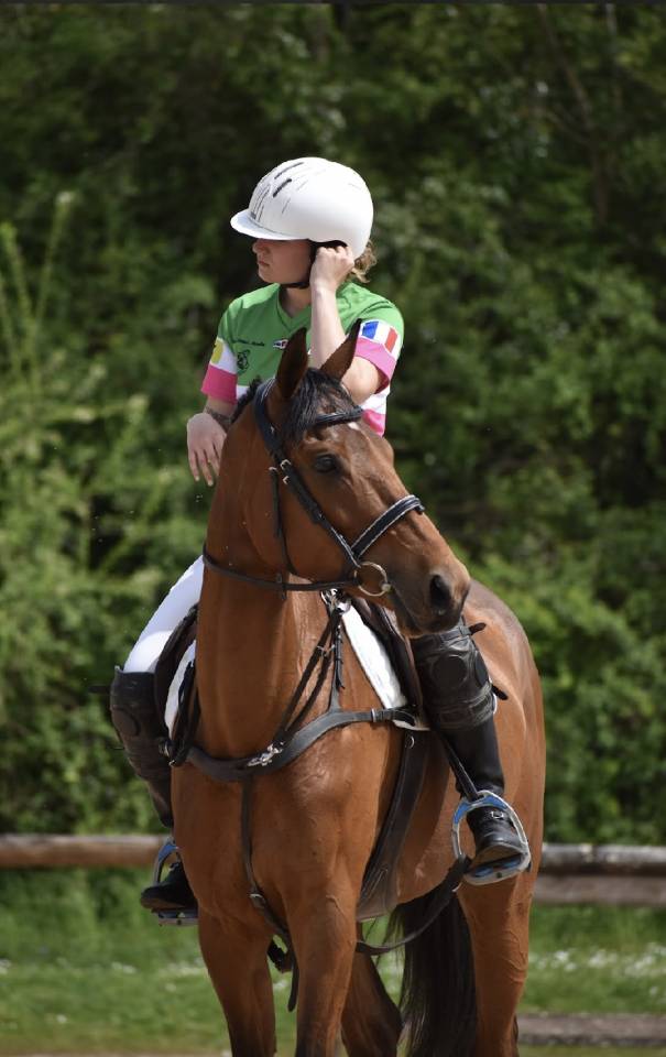 Recherche demi pension 