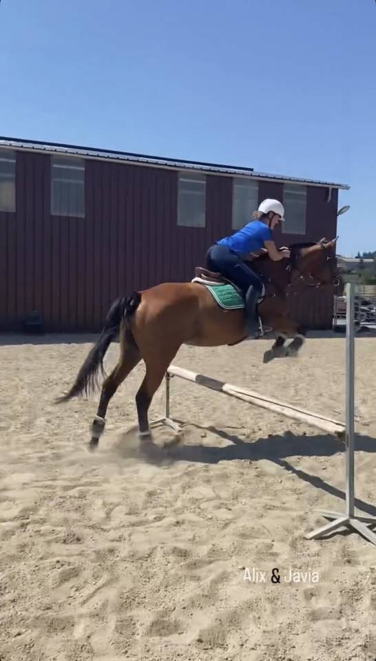 Recherche demi pension 