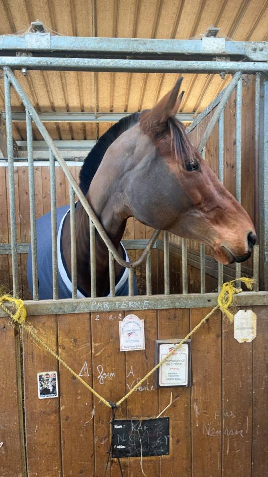 Recherche demi pension 