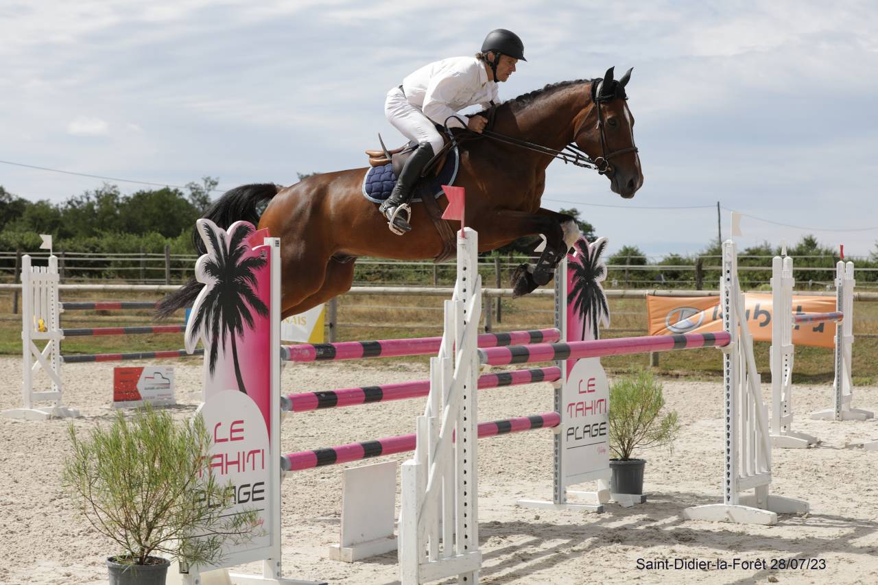 hongre 9 ans pr&ecirc;t sur 125/130