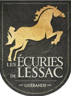 Yearling femelle untouchable 27 x Falko de hus 