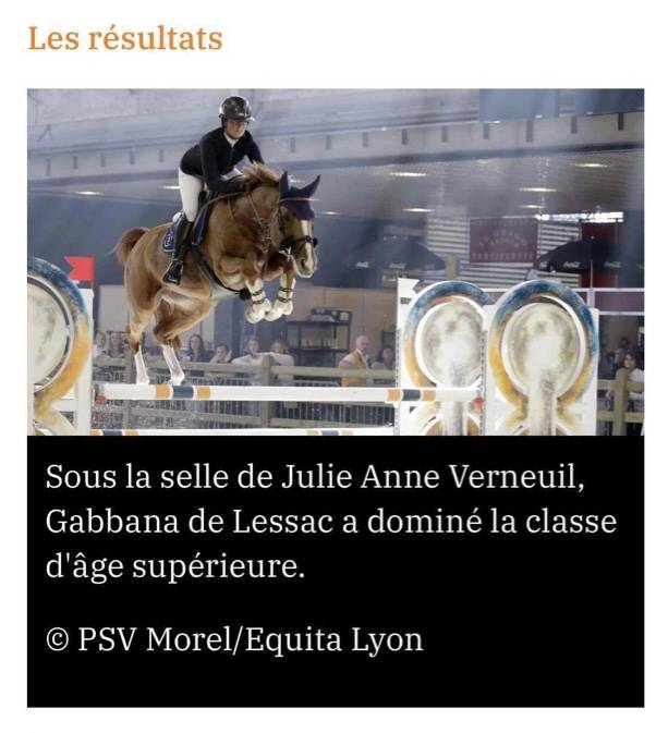 Yearling femelle untouchable 27 x Falko de hus 