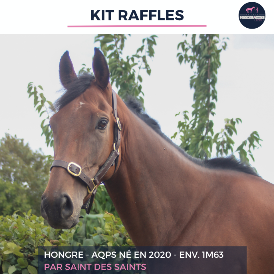 KIT RAFFLES - AQPS - 5 ANS