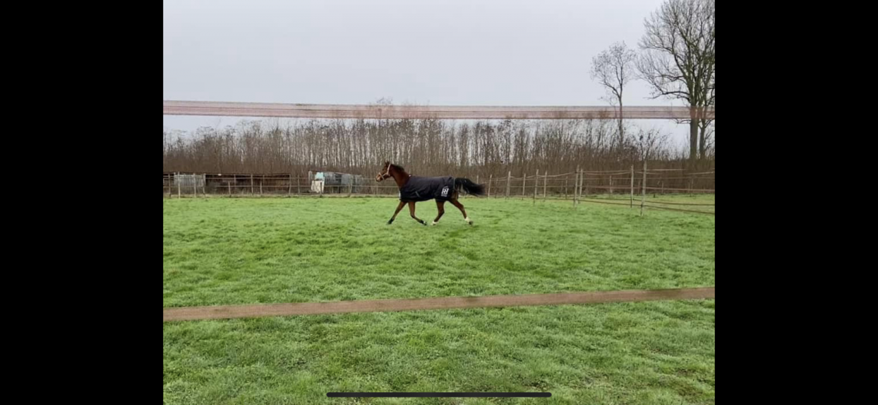 &Eacute;curies Guillaume Gaudry
