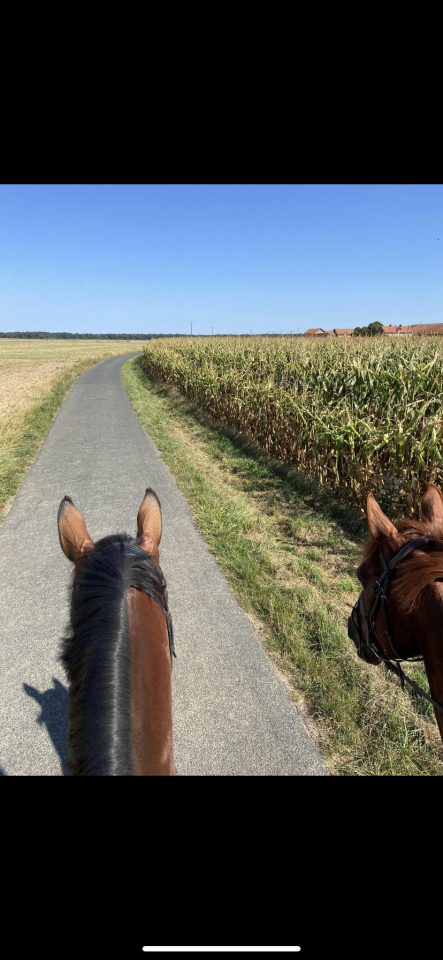 &Eacute;curies Guillaume Gaudry