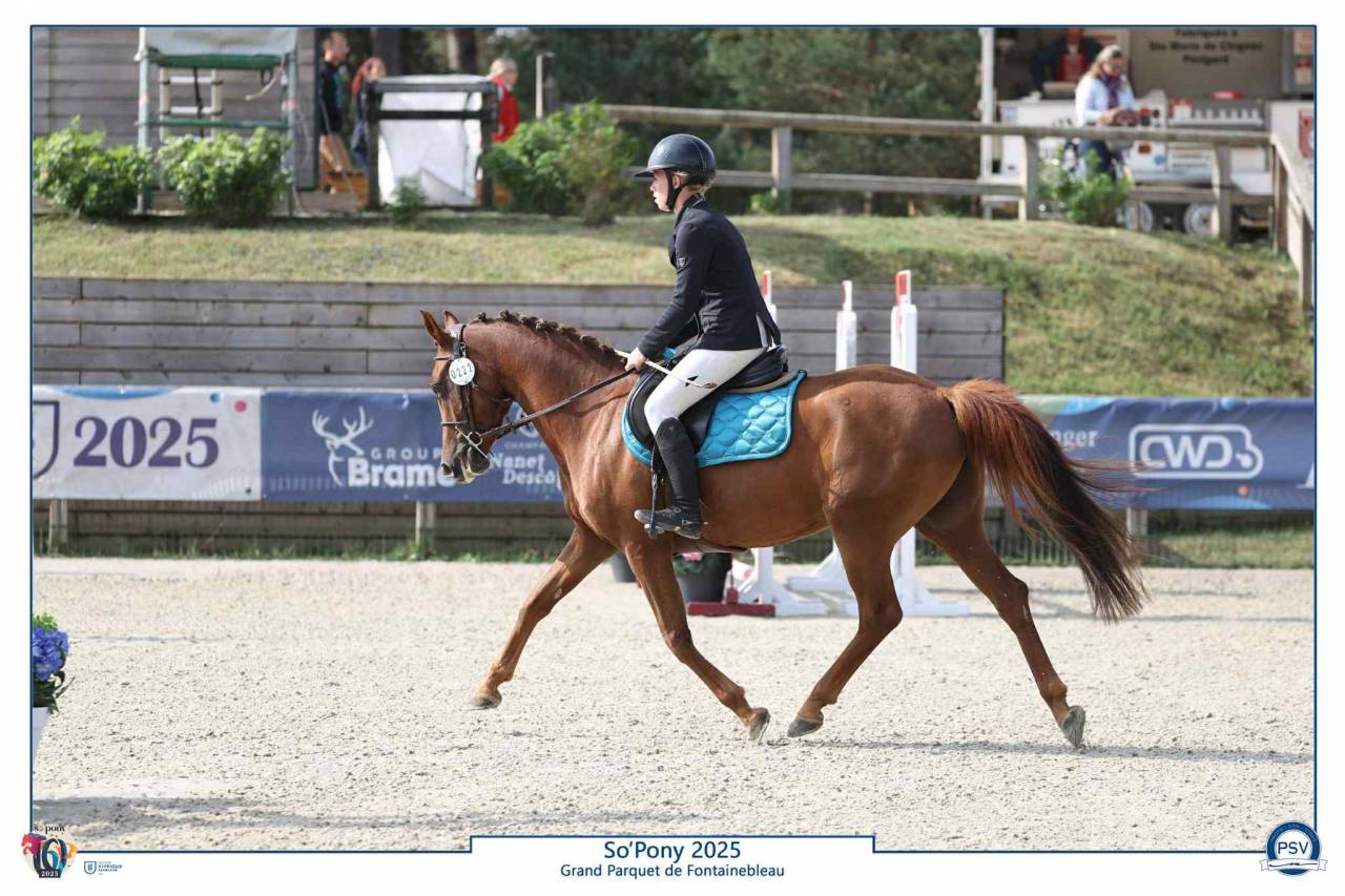 Top ponette cso 4 ans 