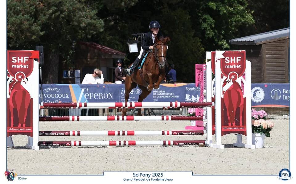 Top ponette cso 4 ans 