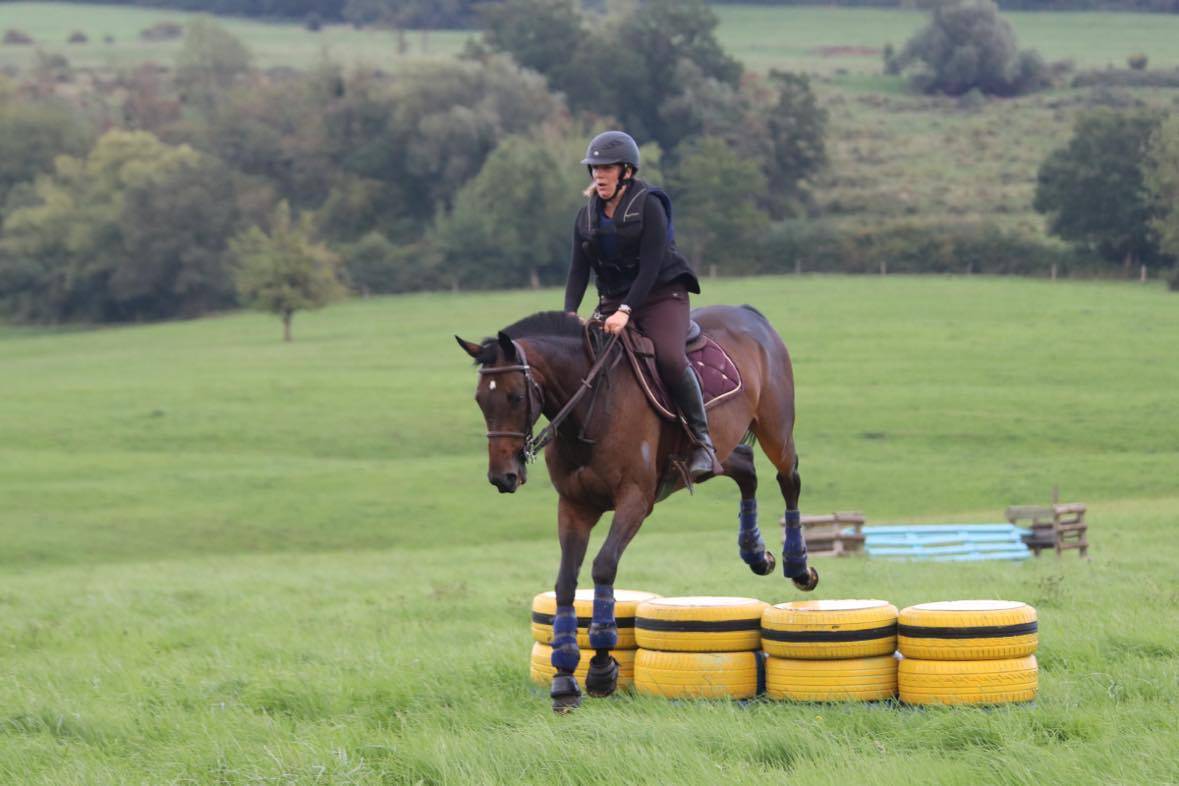 Cheval polyvalent 12 ans