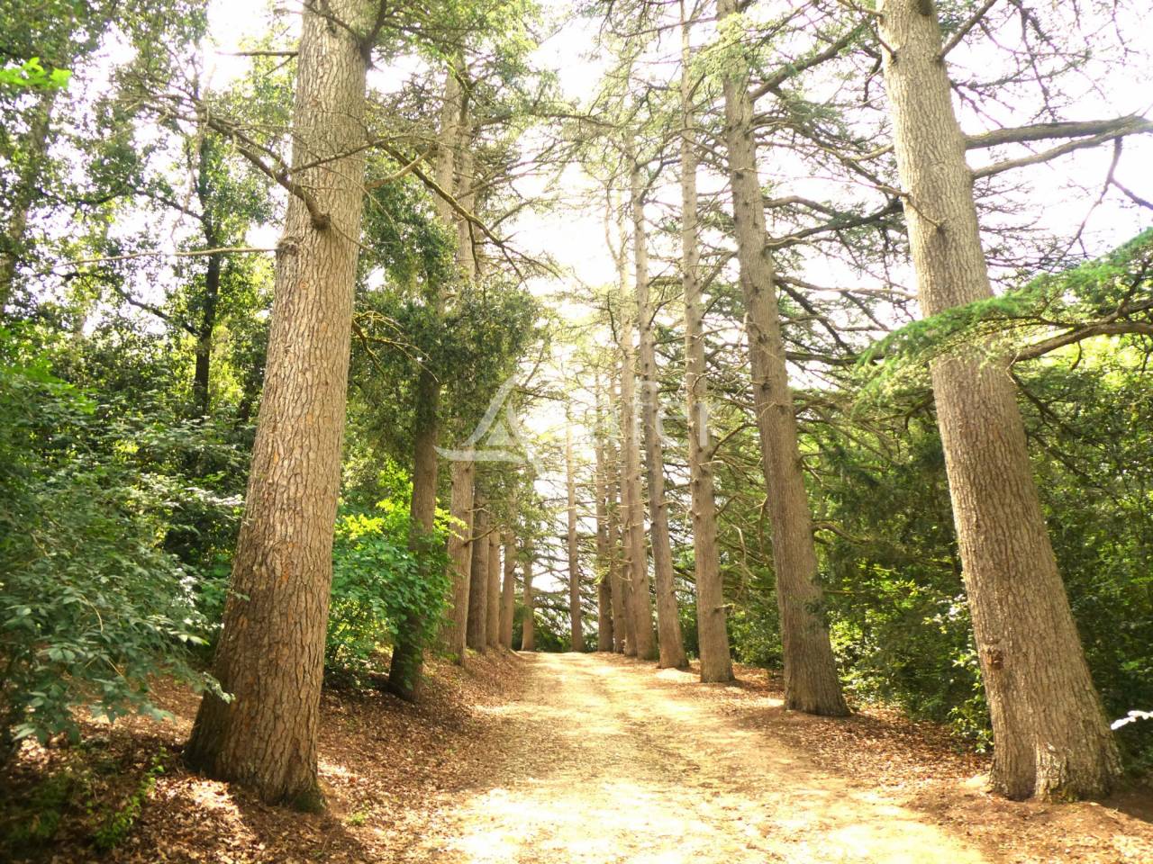 Proche Castéra-Verduzan - Propriété de charme de 4ha
