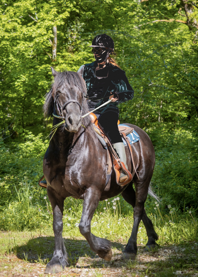 Cheval Merens Male