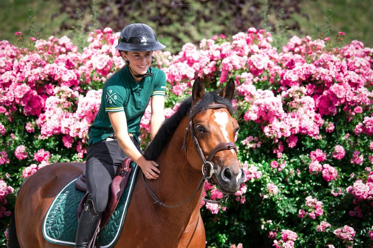 Hongre poney D 6 ans CSO par Linaro