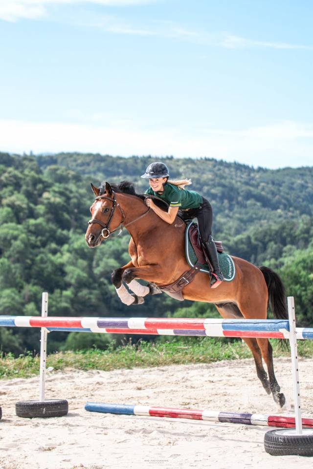 Hongre poney D 6 ans CSO par Linaro