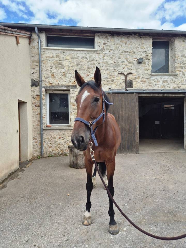  Fabuleuse des Étangs – Gagnante en 140