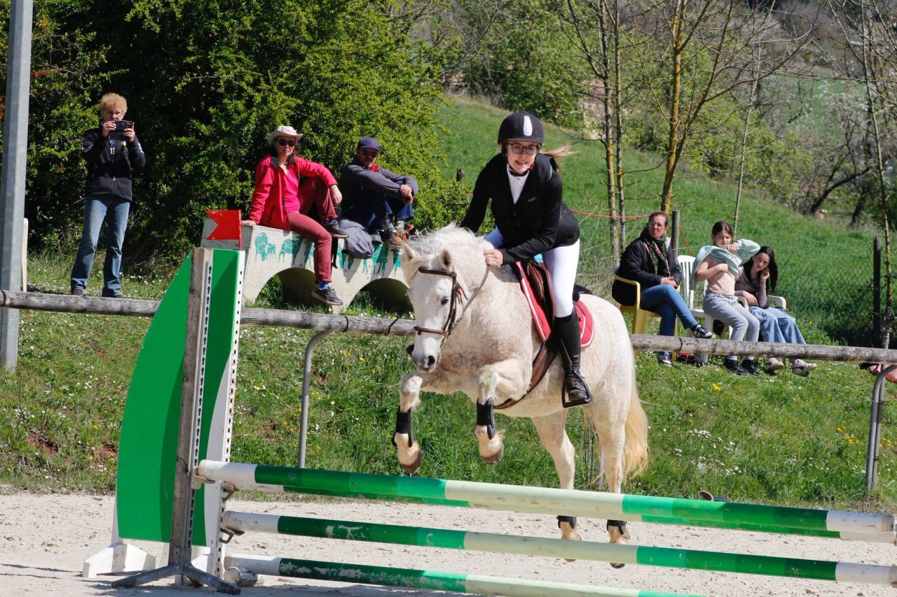 Ponette Connemara de 12 ans 