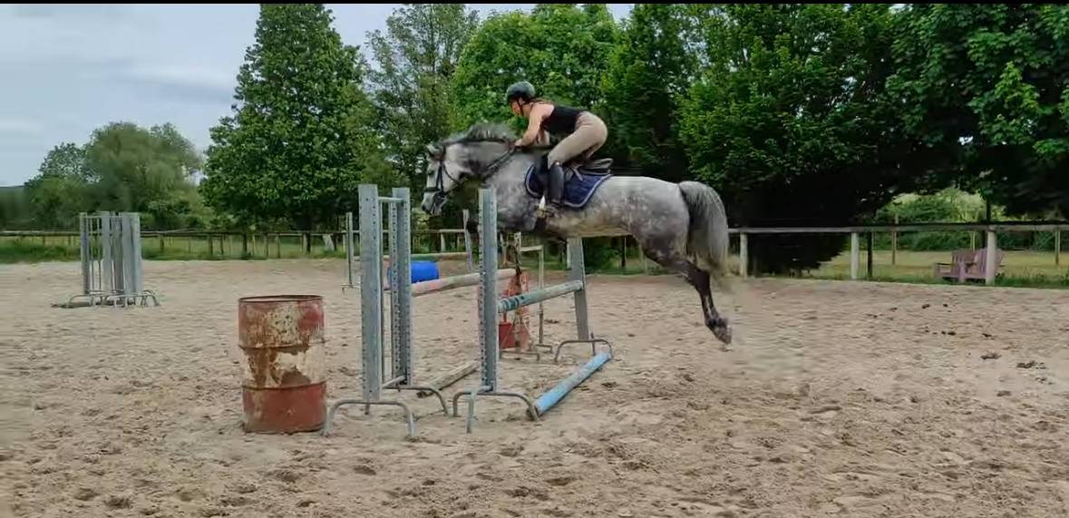 D&eacute;bourrage - Valorisation - Commerce