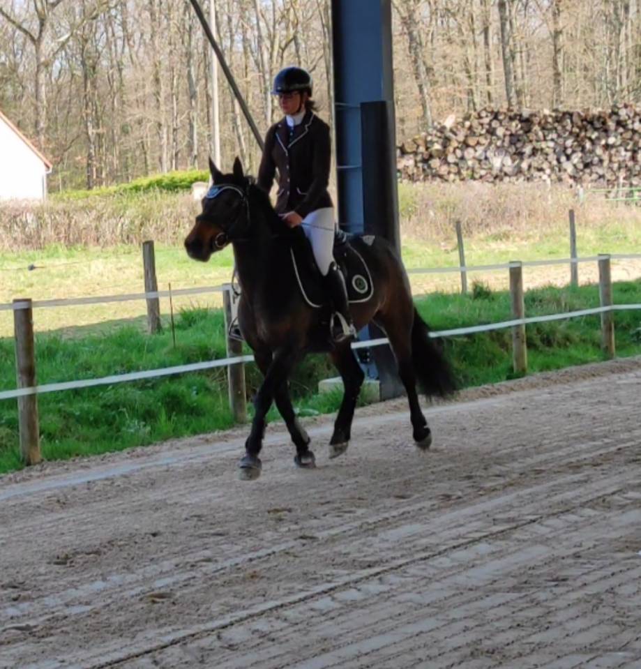 D&eacute;bourrage - Valorisation - Commerce