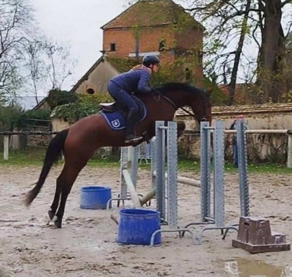 D&eacute;bourrage - Valorisation - Commerce