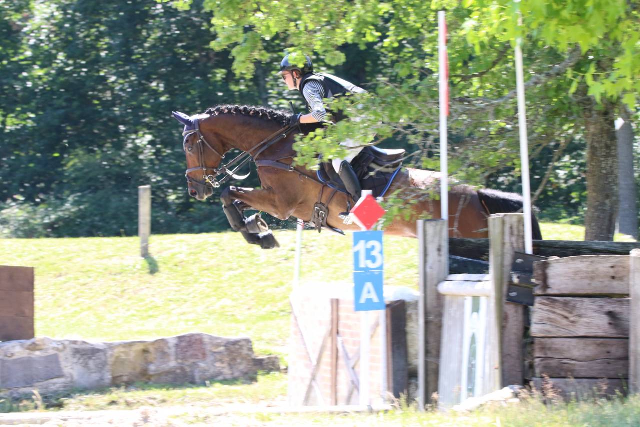Travail du cheval - Gardiennage d'écurie