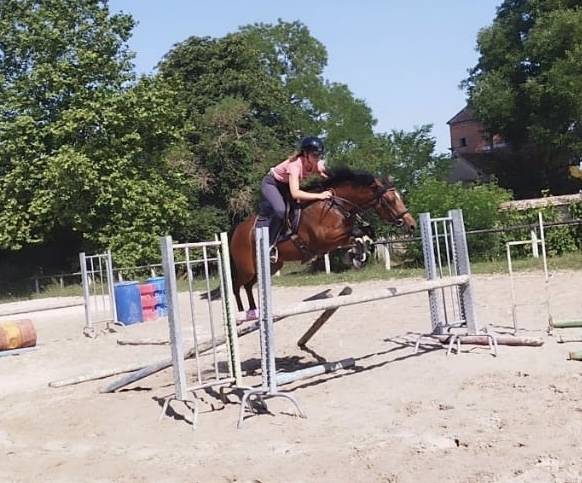 Travail du cheval - Gardiennage d'écurie