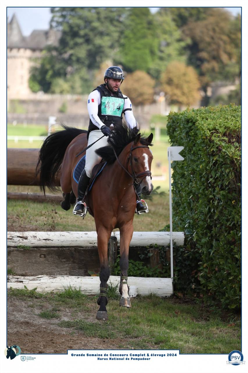 Hongre Champion de France CCE 