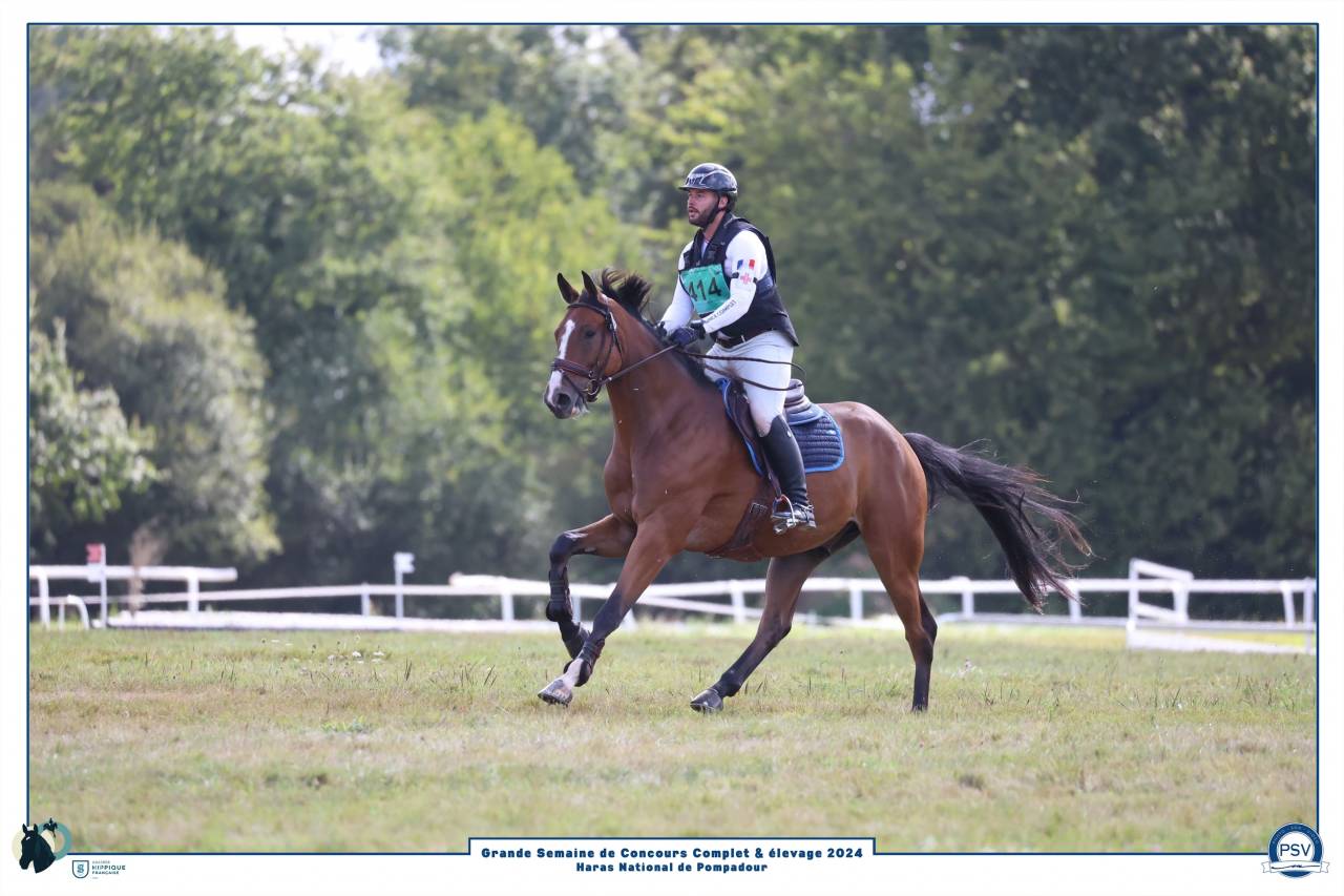 Hongre Champion de France CCE 