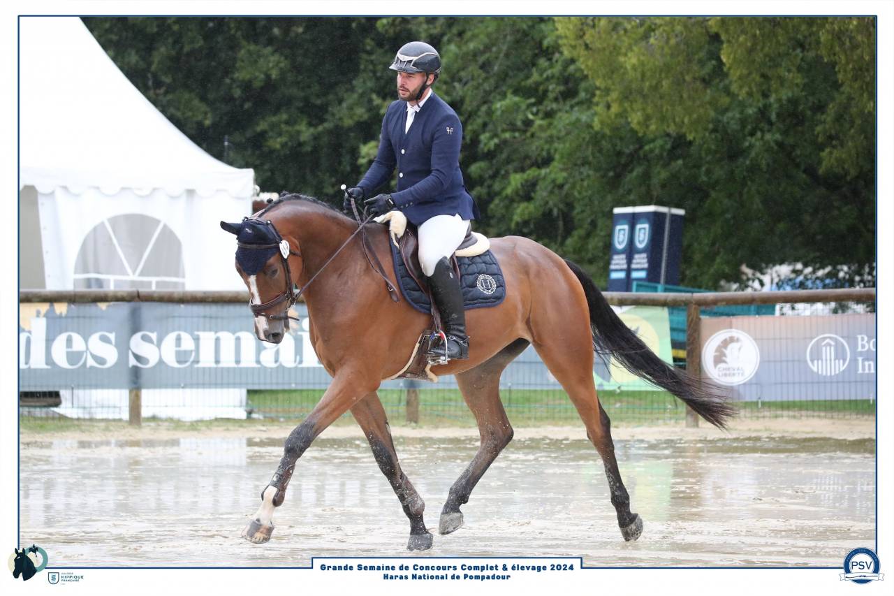 Hongre Champion de France CCE 