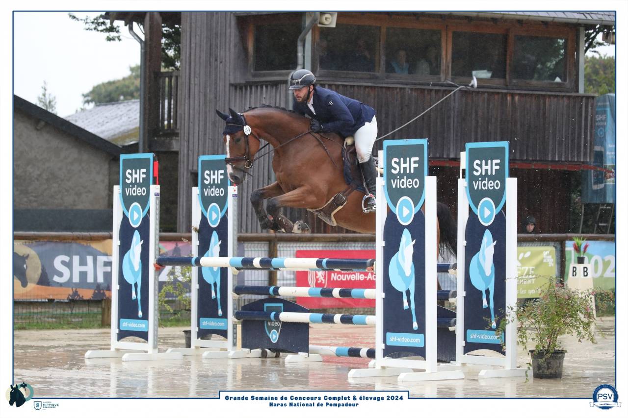 Hongre Champion de France CCE 