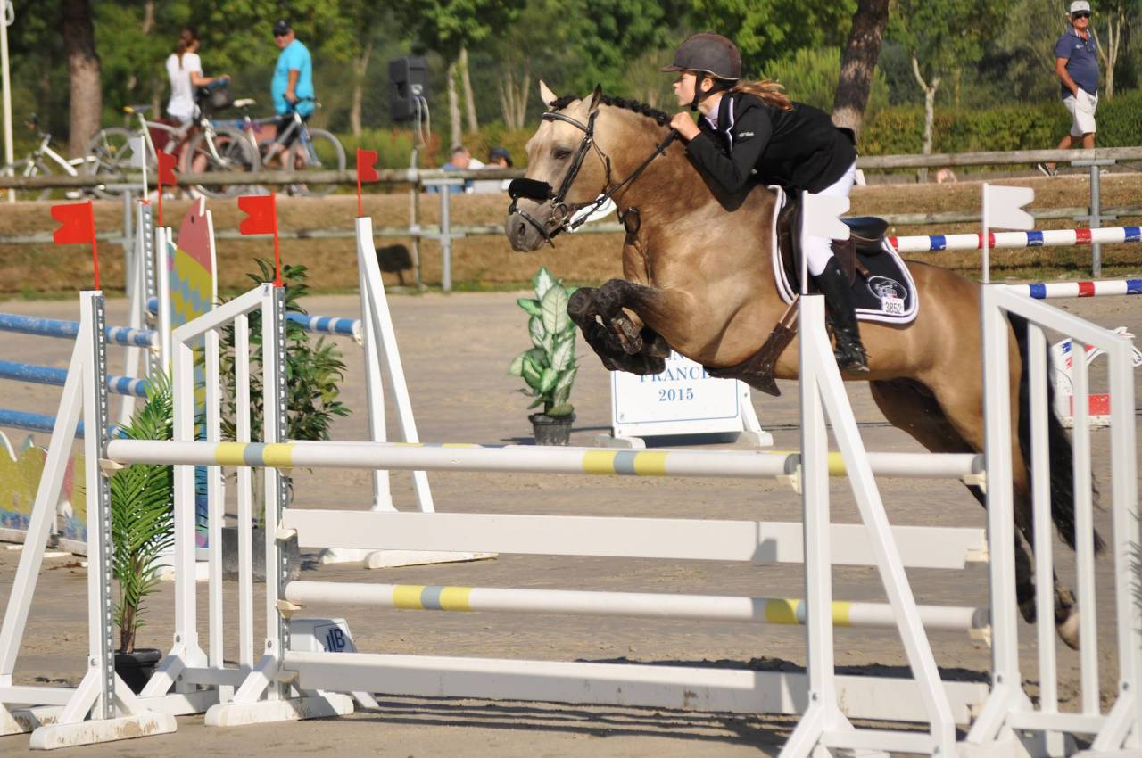 poulain PFS sport taillle D