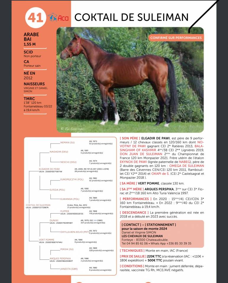 Poulain 2025 DSA 50%