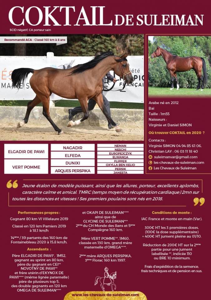 Poulain 2025 DSA 50%