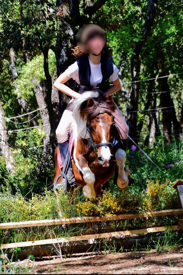 Poulain 2025 DSA 50%