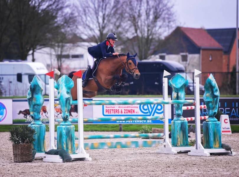 vends Pouliche Pandora des sires, PFS isabelle pour cso