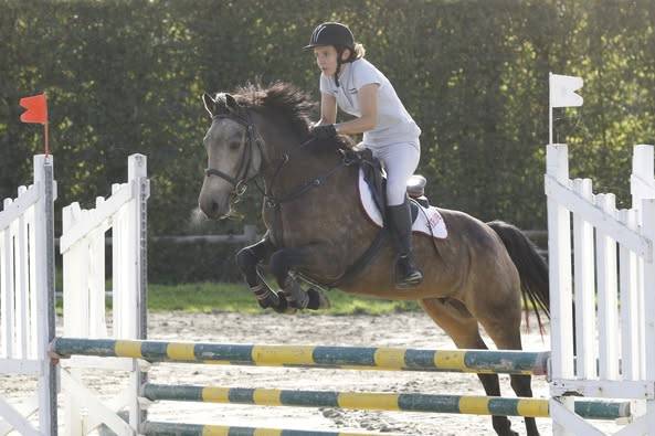 vends Pouliche Pandora des sires, PFS isabelle pour cso