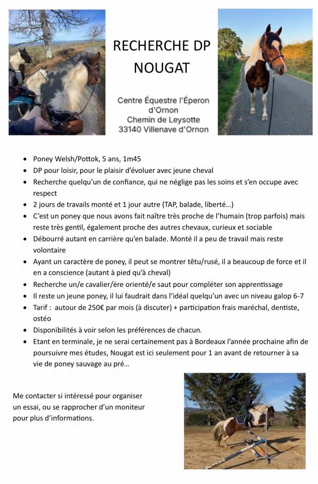 RECHERCHE DP PONEY BORDEAUX
