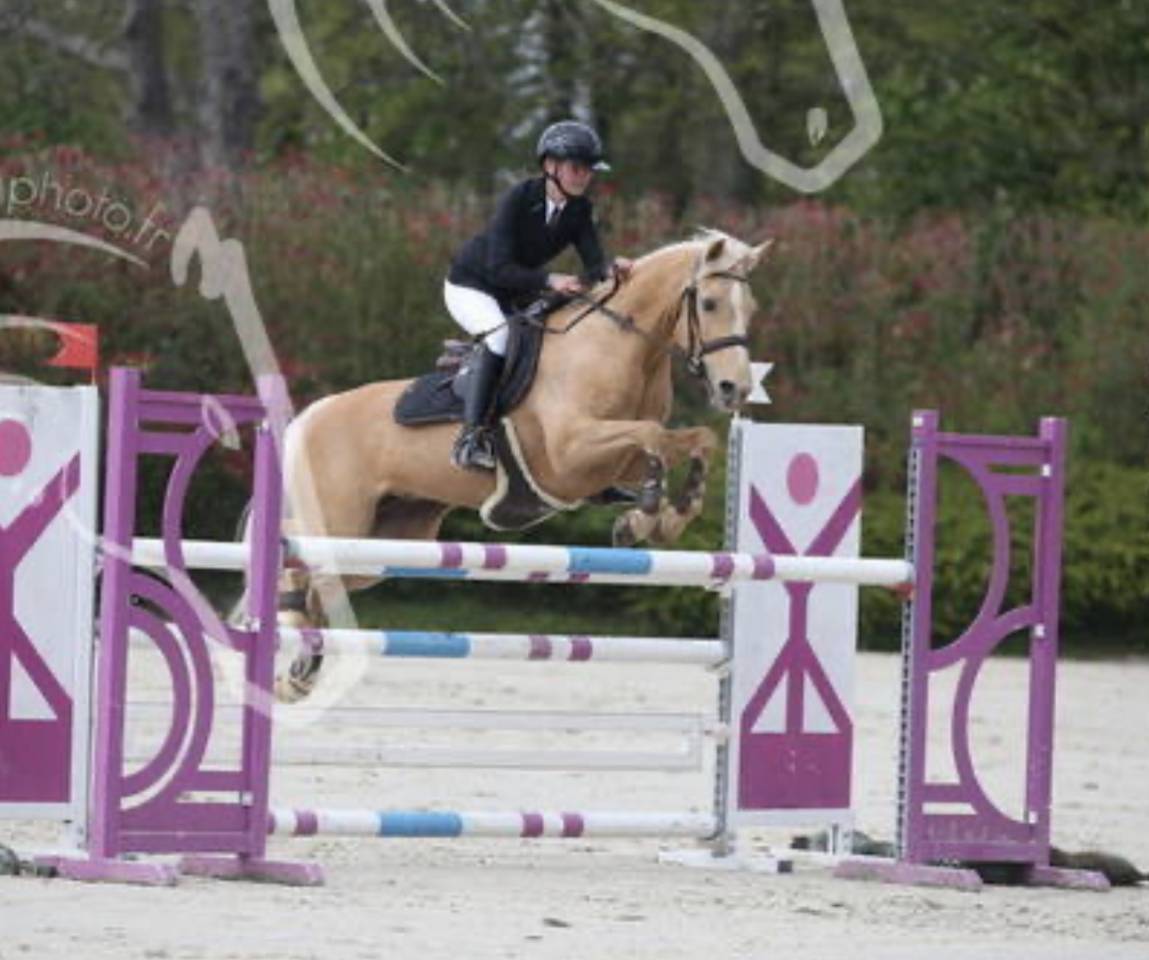 Superbe Ponette pour enfant de p1 à AS1