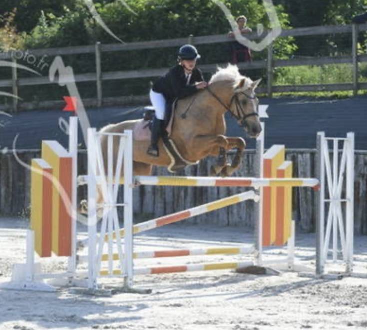 Superbe Ponette pour enfant de p1 à AS1