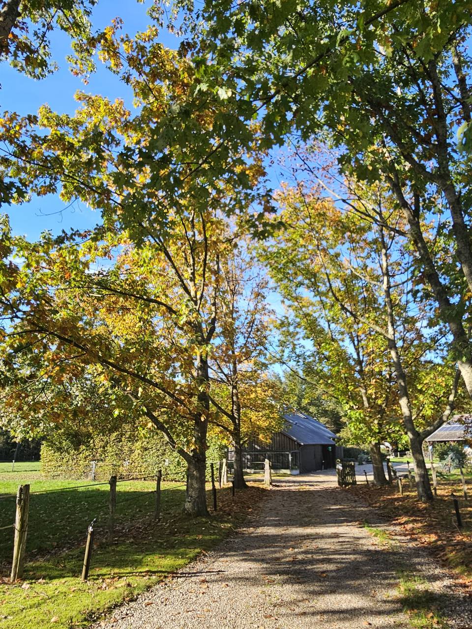 Propriété atypique en bordure de forêt