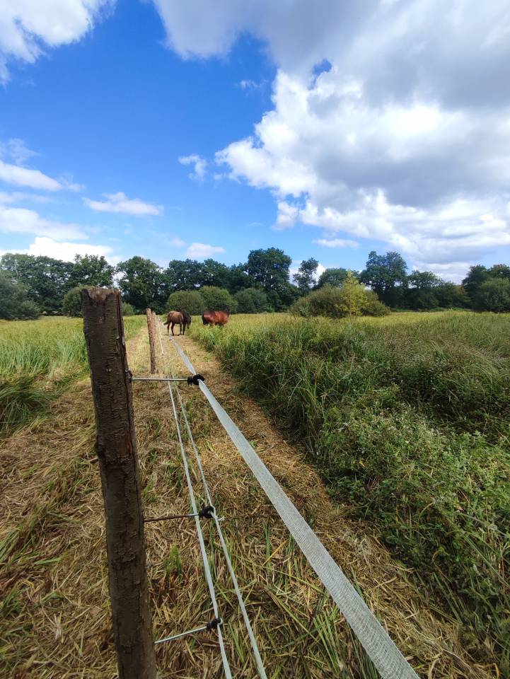 Pension familiale - &Eacute;curie AS Luck - 35190 Tinteniac