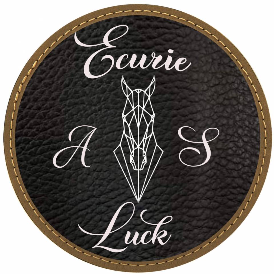 Pension familiale - &Eacute;curie AS Luck - 35190 Tinteniac