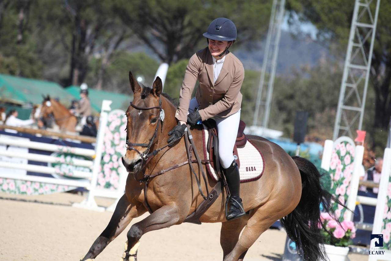 Jument maître d’école pour classer