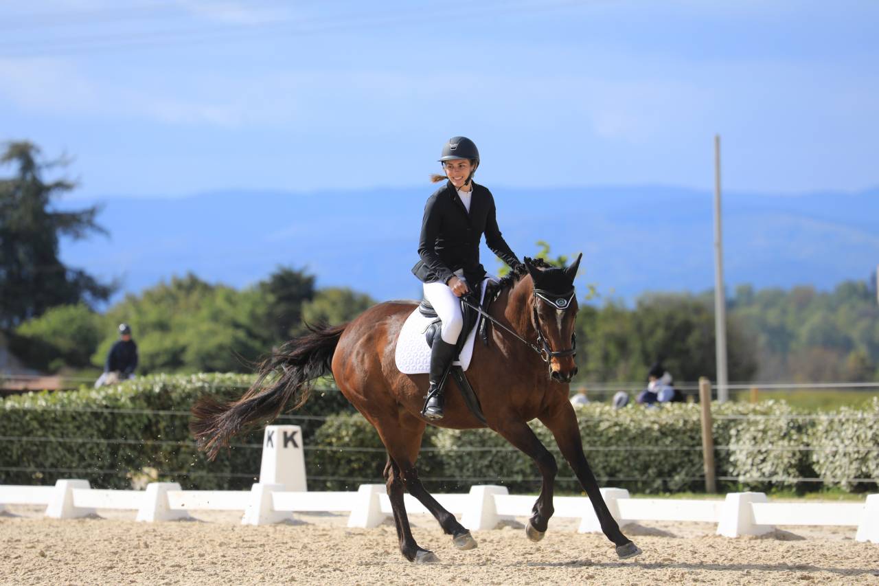 Jument pour maison 5 ⭐️ 