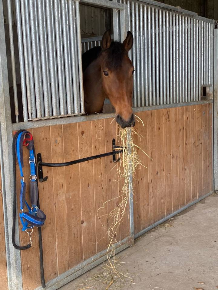 Pension à Valeyres-sous-Rances 