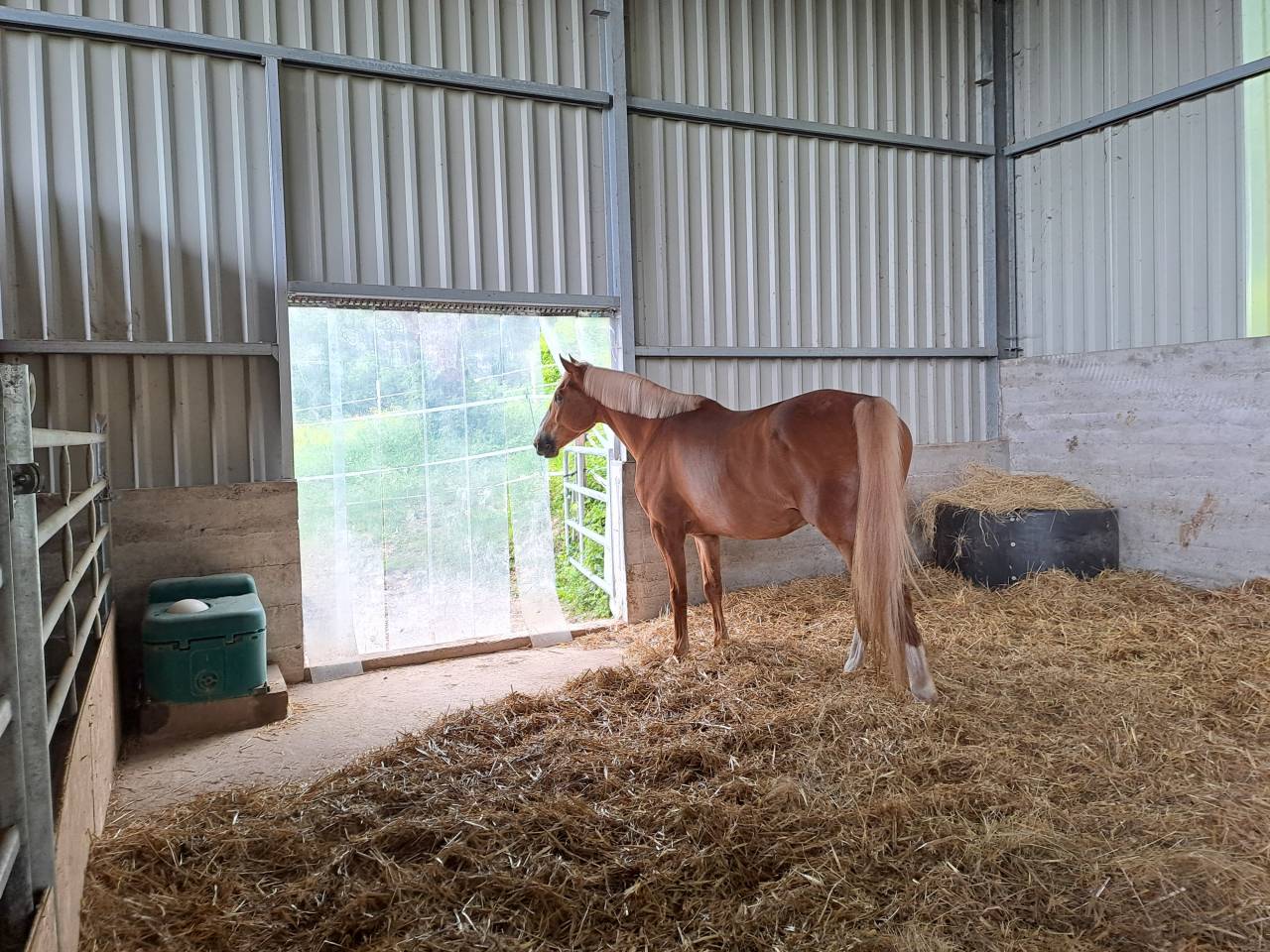 Pension à Valeyres-sous-Rances 